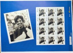 SI 78 Selo Institucional Eunice Paiva Direito Indios Cinema Militar Pombo 2025 Folha