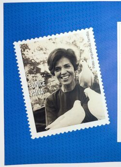 SI 78 Vinheta do Selo Institucional Eunice Paiva Direito Indios Cinema Militar Pombo 2025