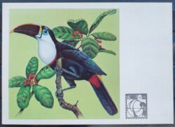 Cartao Postal 1983 Fauna Passaros Tucano 2
