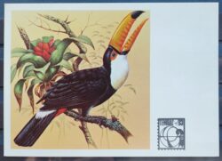 Cartao Postal 1983 Fauna Passaros Tucano