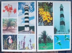 Cartao Postal 1996 Farol Flora Fauna Navegacao