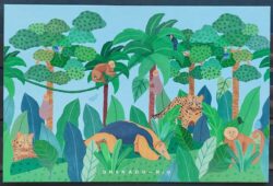 Cartao Postal Propaganda Granado Fauna Macaco Tamandua Onca Tucano Passaro