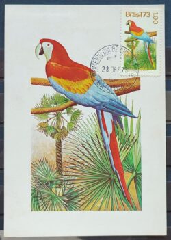 Maximo Postal 1973 Fauna Arara Passaro Ave Cartao CBC SP 2