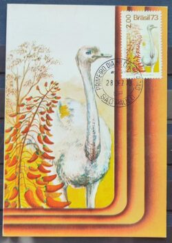 Maximo Postal 1973 Fauna Avestruz Passaro Ave Cartao CBC SP