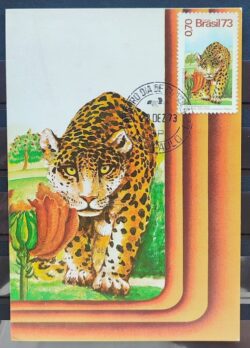 Maximo Postal 1973 Fauna Onca Felino Cartao CBC SP