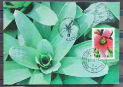 Maximo Postal 1977 Flora Meio Ambiente Cartao CBC R 2