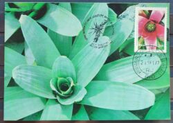 Maximo Postal 1977 Flora Meio Ambiente Cartao CBC RJ