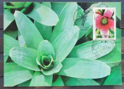 Maximo Postal 1977 Flora Meio Ambiente Cartao CBC SP