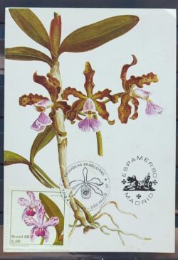 Maximo Postal 1980 Flora Orquidea CBC SP Madri Espanha ESPAMER