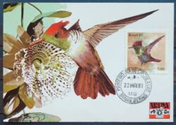 Maximo Postal 1981 Fauna Beija Flor Passaro Ave Wipa Cartao CBC MG