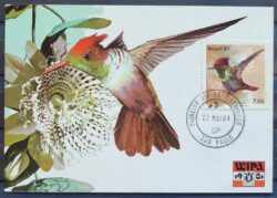 Maximo Postal 1981 Fauna Beija Flor Passaro Ave Wipa Cartao CBC SP 2