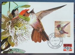 Maximo Postal 1981 Fauna Beija Flor Passaro Ave Wipa Cartao CBC SP