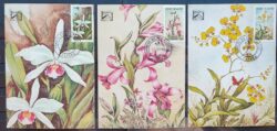 Maximo Postal 1982 Flora Orquidea Postal CBC PR