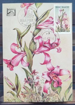 Maximo Postal 1982 Flora Orquidea Postal CBC SC