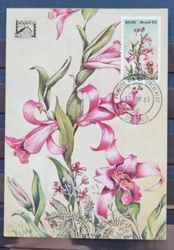Maximo Postal 1982 Flora Orquidea Postal CBC SP 2