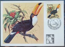 Maximo Postal 1983 Fauna Passaros Tucanos Cartao CBC Suica 2