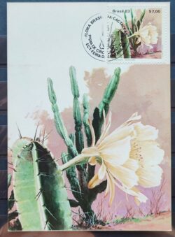 Maximo Postal 1983 Flora Cactos Cartao CBC BA 2