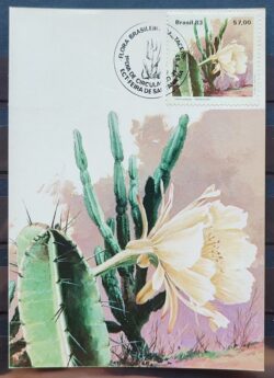 Maximo Postal 1983 Flora Cactos Cartao CBC BA