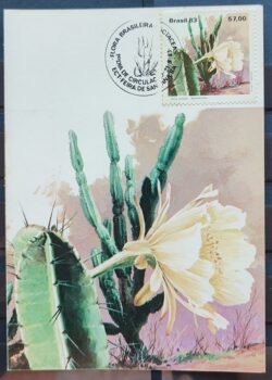 Maximo Postal 1983 Flora Cactos Cartao CBC BA 3