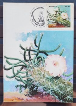 Maximo Postal 1983 Flora Cactos Cartao CBC BA 4