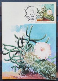 Maximo Postal 1983 Flora Cactos Cartao CBC BA 5