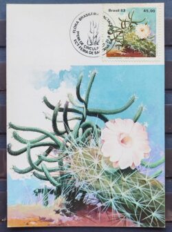 Maximo Postal 1983 Flora Cactos Cartao CBC BA 6