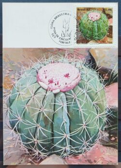 Maximo Postal 1983 Flora Cactos Cartao CBC CE 2