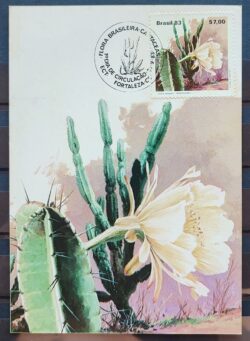 Maximo Postal 1983 Flora Cactos Cartao CBC CE