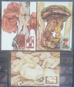 Maximo Postal 1983 Fungos Cartao CBC RJ Serie Completa 2