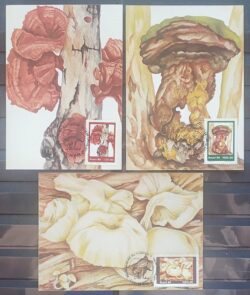 Maximo Postal 1983 Fungos Cartao CBC RJ Serie Completa 3