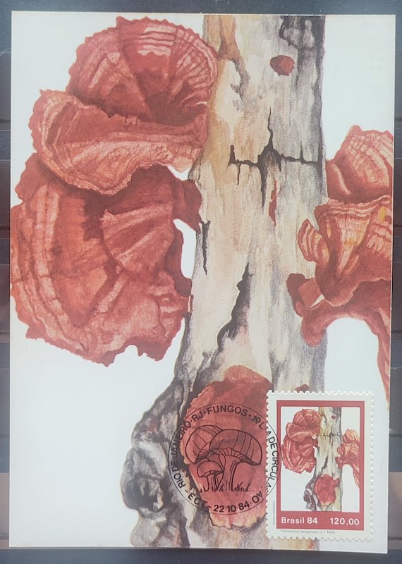 Maximo Postal 1983 Fungos Cartao CBC RJ