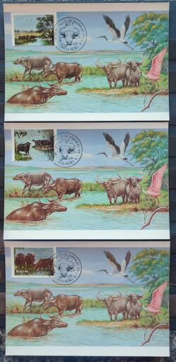 Maximo Postal 1984 Bufalos de Marajo Passaros Cartao CBC PA Serie Completa