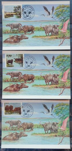 Maximo Postal 1984 Bufalos de Marajo Passaros Cartao CBC PA Serie Completa 3