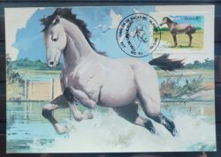 Maximo Postal 1985 Cavalos de Racas Cartao CBC RJ 2