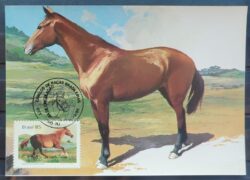 Maximo Postal 1985 Cavalos de Racas Cartao CBC RJ