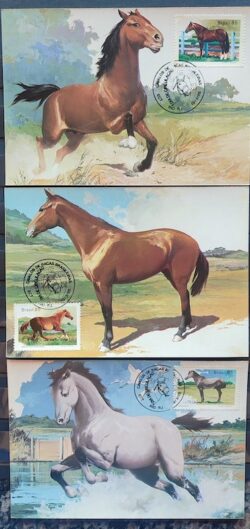 Maximo Postal 1985 Cavalos de Racas Cartao CBC RJ Serie Completa