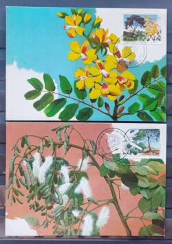 Maximo Postal 1990 Sociedade Botanica Flora Cartao CBC CE Serie Completa