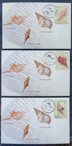 Maximo Postal 2007 Conchas Maritimas Cartao CBC RN RS Serie Completa