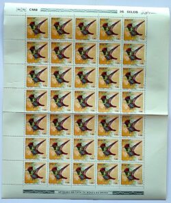 C 1197 Selo Fauna Ave Passaro Beija Flor Topetinho Vermelho 1981 Folha