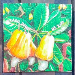 C 2657 Selo Maior Cajueiro do Mundo Fruta Gastronomia Economia 2006