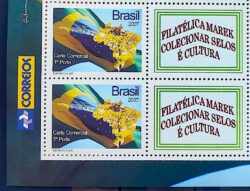 C 2677 Selo Personalizado Ipe e Bandeira Mapa Marek 2007 Quadra Vinheta Correios