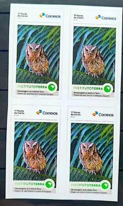 SI 118 Selo Institucional Instituto Terra Fauna Coruja 2025 Quadra