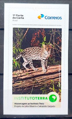 SI 119 Selo Institucional Instituto Terra Fauna Jaguatirica 2025