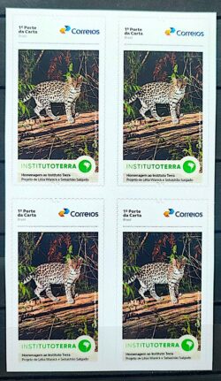 SI 119 Selo Institucional Instituto Terra Fauna Jaguatirica 2025 Quadra