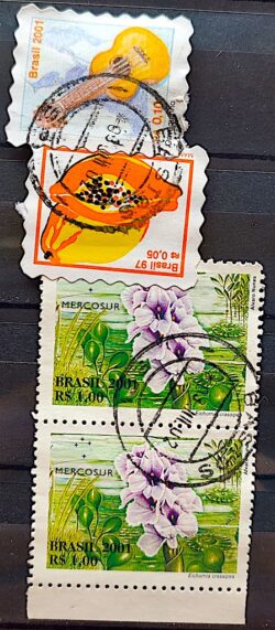 C 2439 Selo Flora do Mercosul Aguape Flor 2001 Circulado 2