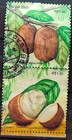 C 2605 Selo Cupuacu Fruta da Amazonia 2005 Circulado 1