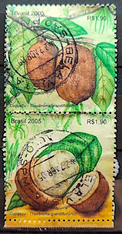 C 2605 Selo Cupuacu Fruta da Amazonia 2005 Circulado 2