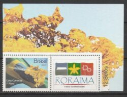 C 2677 Selo Personalizado Ipe e Bandeira Mapa 2009 Roraima Vinheta