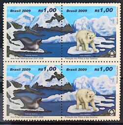 C 2778 Selo Ano Polar Internacional Foca Urso Antartida 2009 Quadra