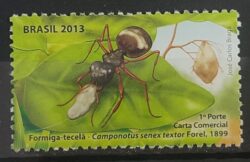 C 3280 Selo Formiga 2013 Tecela